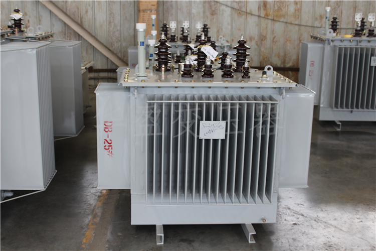 驻马店S20-800kVA/10kV/0.4kV变压器
